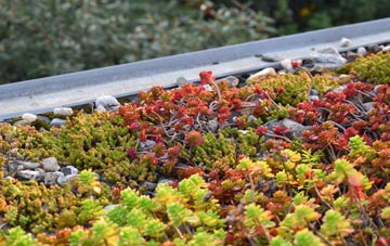 the cost of Upper Kidston green roof installation